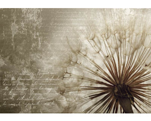 Löwenzahn Fototapete, natürliche Nahaufnahme eines Löwenzahns.