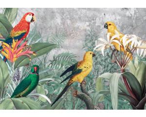 Papageien-Dschungel-Fototapete, bunt und naturgetreu.