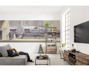 Star Wars Millennium Falcon Panoramafototapete, ein Muss für jeden Star Wars-Fan.