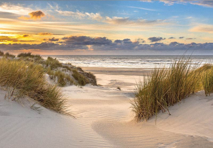 Fototapete Dünen an der Nordsee