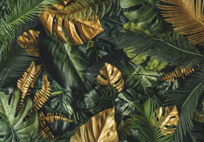 Fototapete Grüne und goldene Blätter