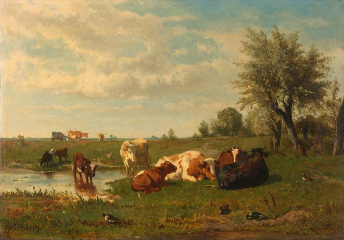 Fototapete Kühe auf der Wiese