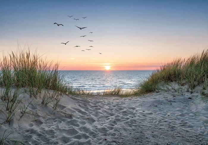 Fototapete Strand, Dünen und Meer bei Sonnenuntergang