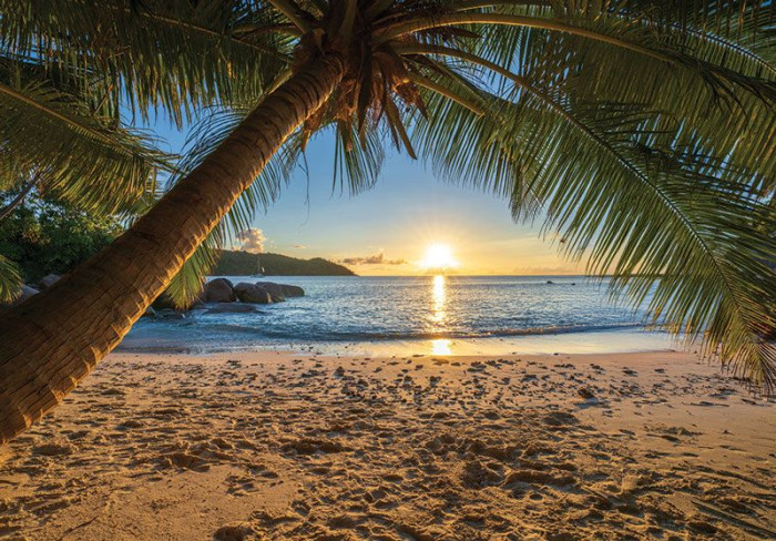 Fototapete Tropisches Strandparadies mit Palme, Sonnenuntergang und Meer
