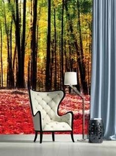 Natur-Fototapete bei Ihnen zu Hause im Wald