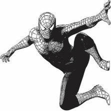 Marvel Fototapete Spider-Man