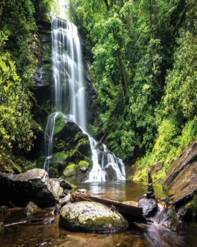 Fototapete mit einem Wasserfall im Wald